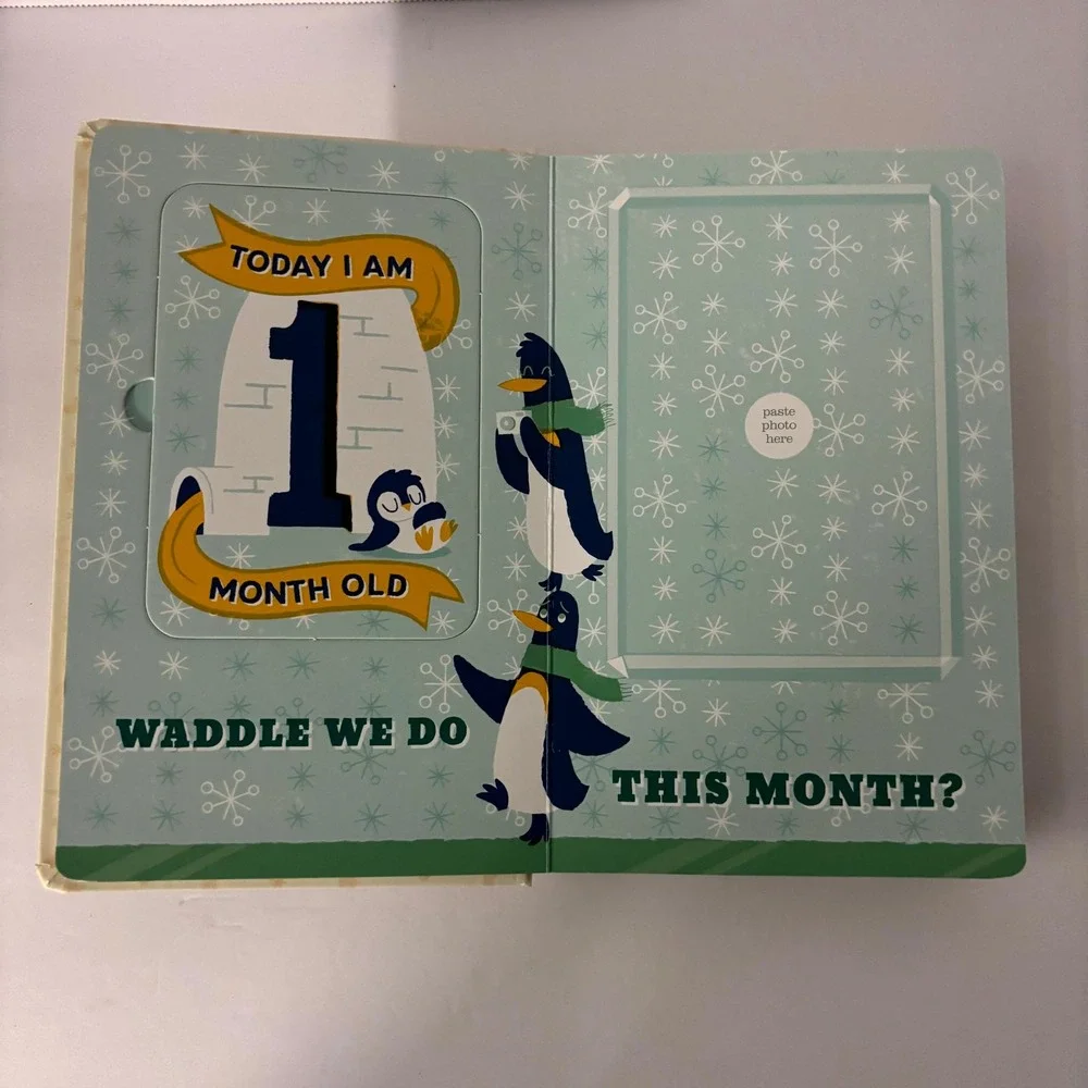 Baby's First Year Photo Gallery Memory Book Album w/ 12 Monthly Milestone Cards